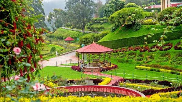 Rose Garden