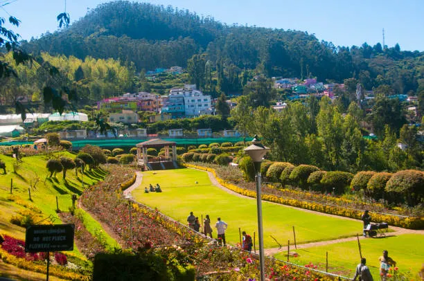 Ooty Weekend Getaway: The Perfect 2-Day Itinerary
