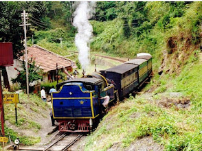 Nilgiri Mountain Railway (Toy Train)
