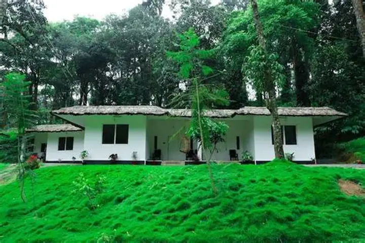 Ooty Valley Homestay